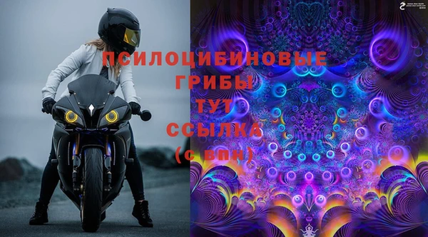 эйфоретик Аркадак