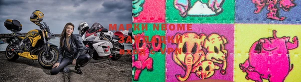 мяу мяу мука Арсеньев